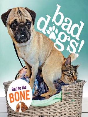 cover image of Bad Dogs